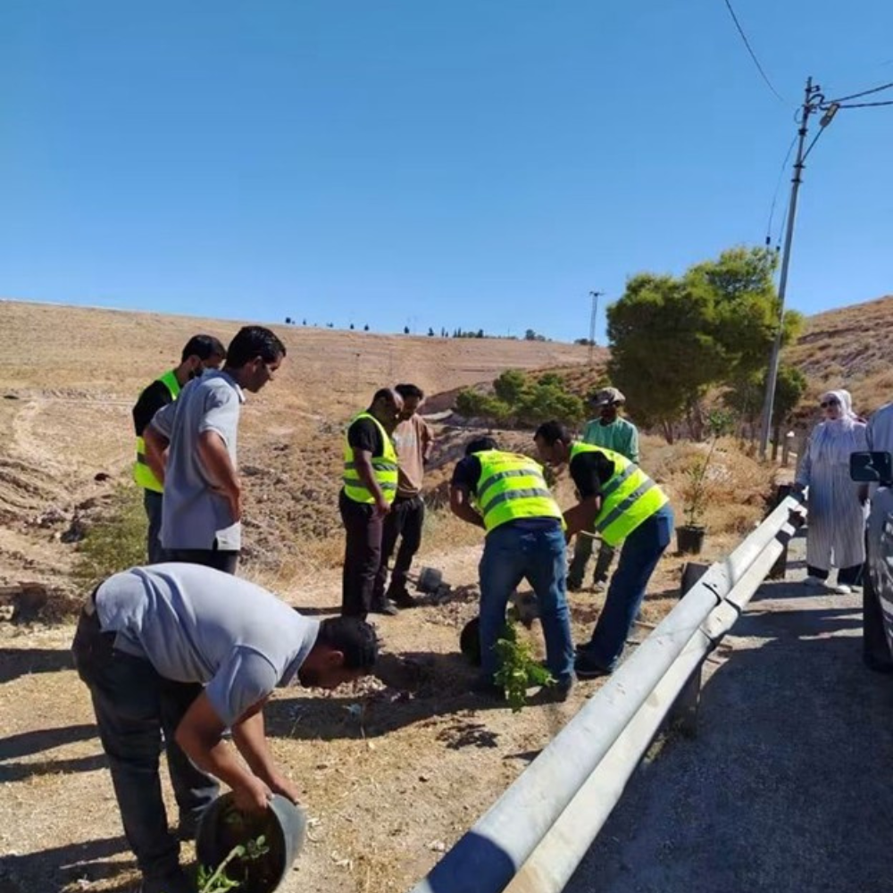 "زها" ماعين ومديرية "سياحة مادبا" ينفذان حملة تشجير 