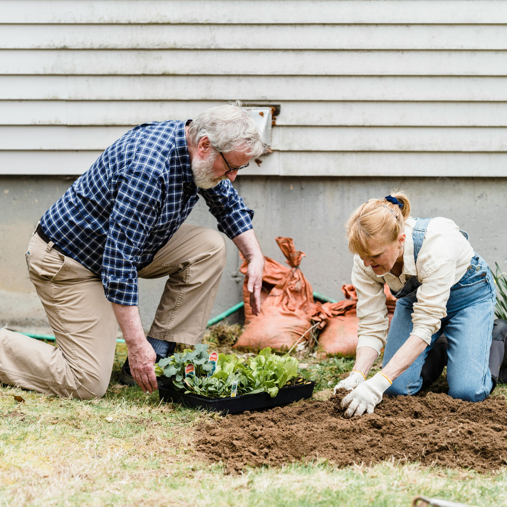 الزراعة المنزلية... مساحات صغيرة تعزز الصحة والاستدامة