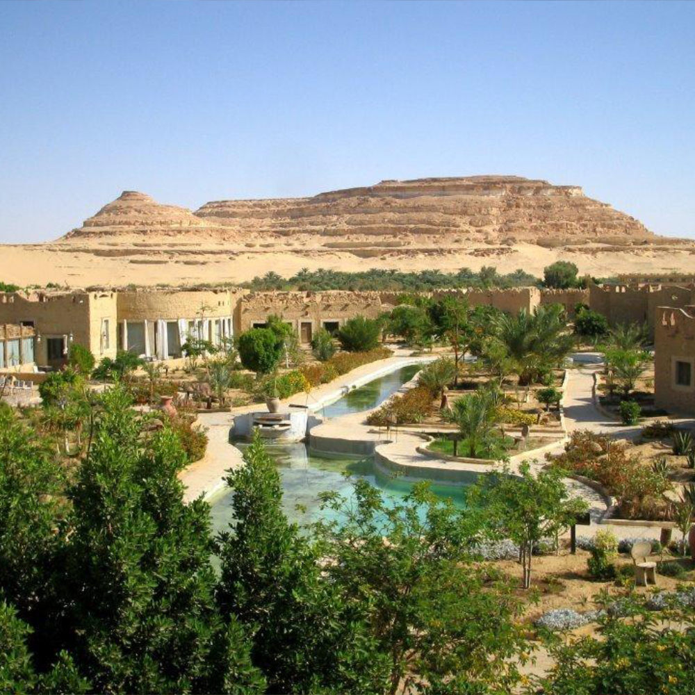 واحة سيوة جنة الصحراء المصرية