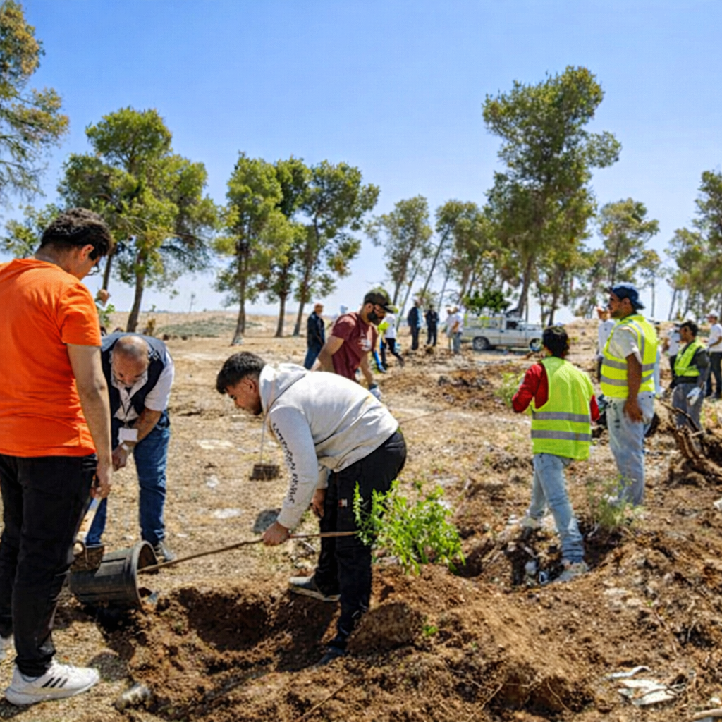 حملة تشجير لزراعة آلاف الأشجار في المملكة